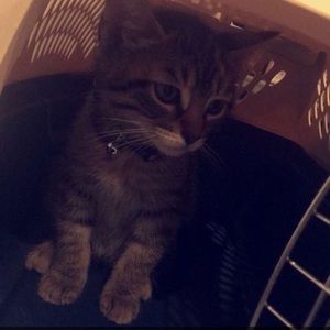 Meet your Posher, Julia